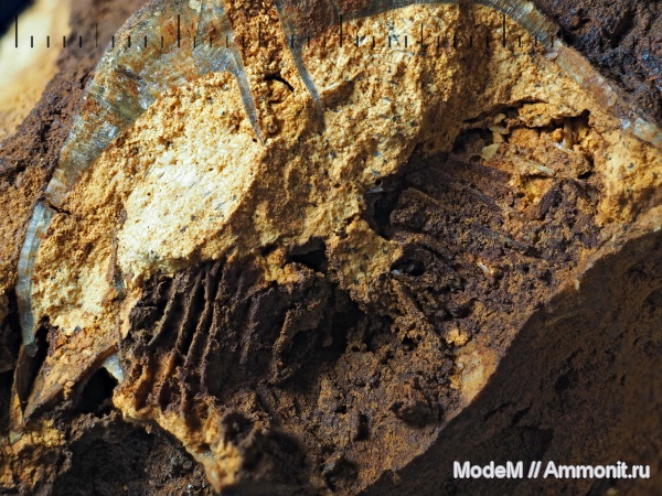 ручной аппарат