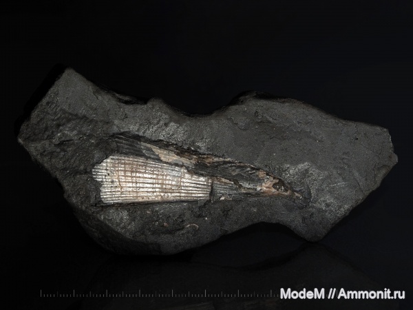 Михайловцемент