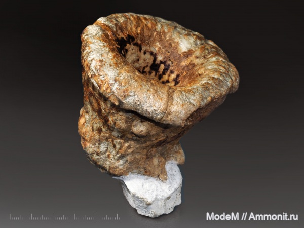 Новодевичье-Климовка