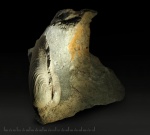 Мстихинская двустворка