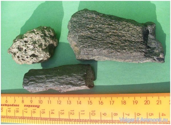 рептилии, юра, водные рептилии, мезозой, Ивановская область, кости рептилий, Jurassic