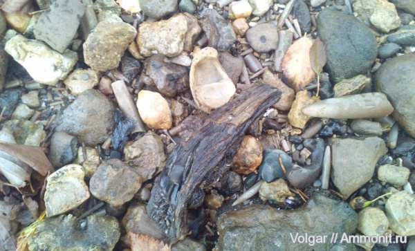 грифеи, Ивановская область