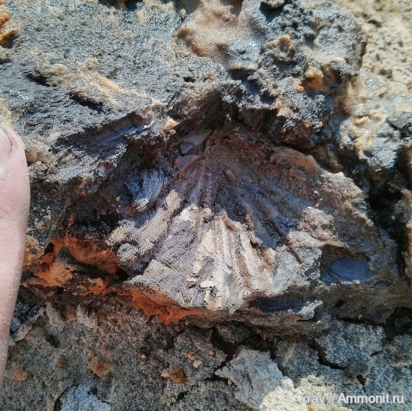 Верхневолжские мотивы