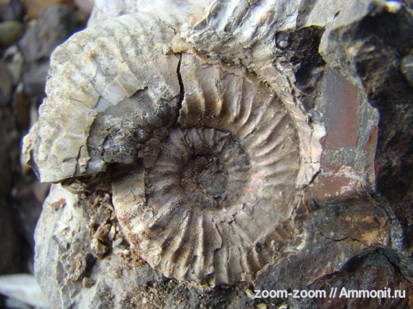 Находки Вольск