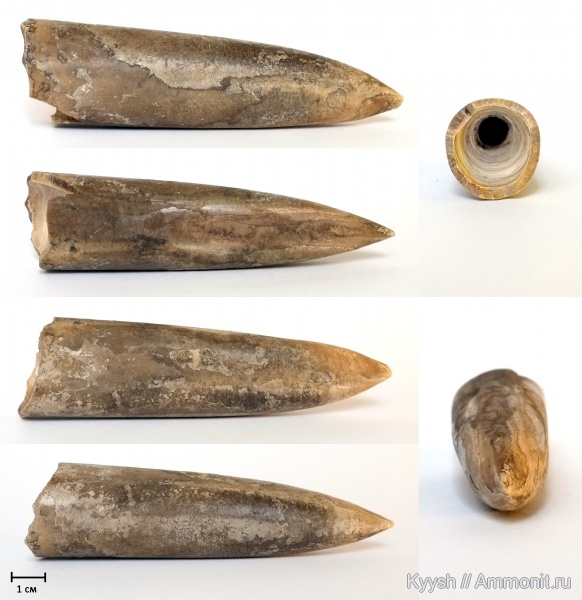 р. Шмелевка