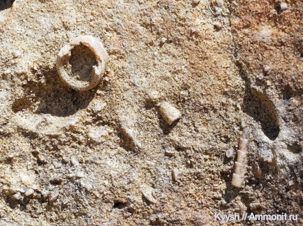 Калиновские выселки