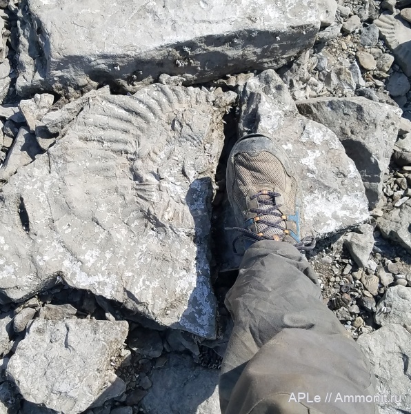 Ульяновская область