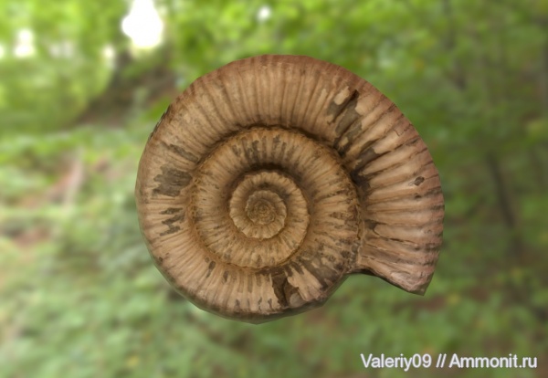 3D-изображения