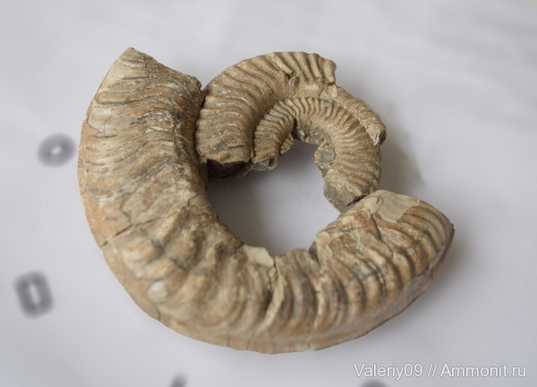 3D-изображения