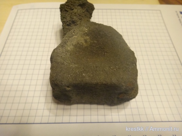 Михайлов, ихтиозавры, юрский период, Jurassic