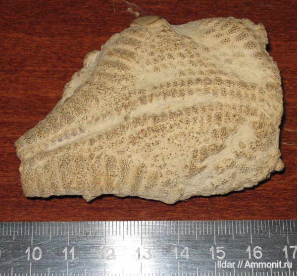 Пожалуйста, подскажите