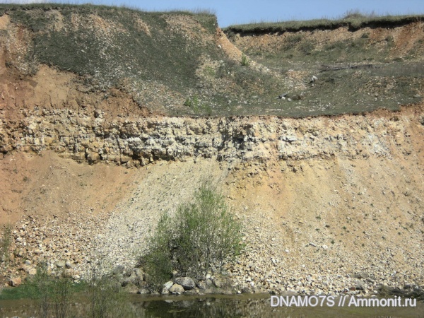 нижний карбон