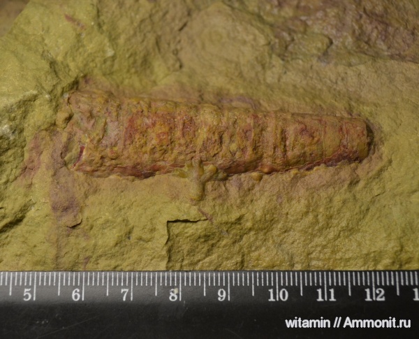 На определение