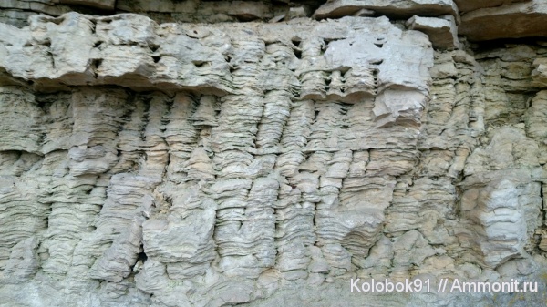 строматолиты