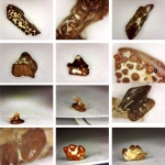 Отчёт за неделю:)))