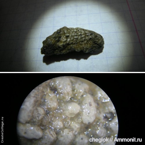 мел, Варавино, Cretaceous