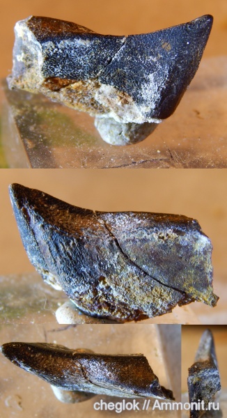 Воронеж, зубные пластины