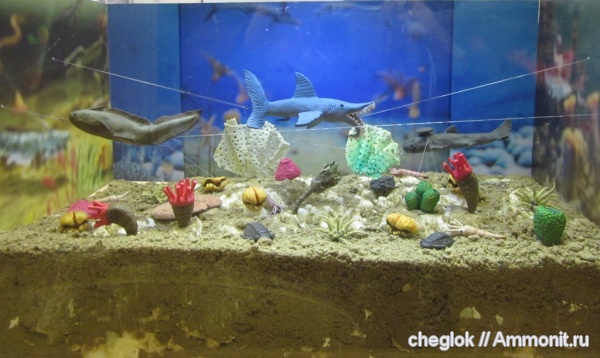 брахиоподы, трилобиты, морские ежи, морские лилии, карбон, мшанки, позвоночные, брюхоногие моллюски, Русавкино