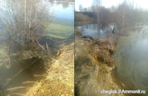 карбон, Русавкино