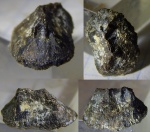 крупный петрод из старых Песков