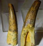 и так бывает