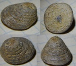 и от меня загадка