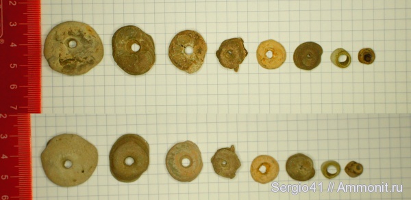 Правобережье Волги