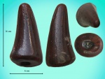Зуб мозазавра или плезиозавра