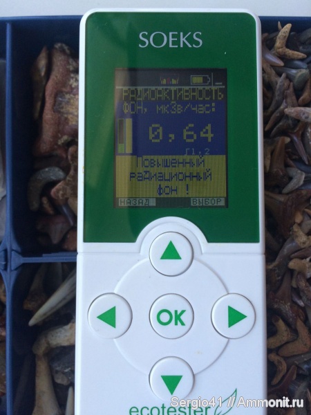 рептилии, мел, зубы, акулы, радиация