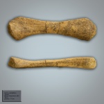 "Куриная косточка" 2