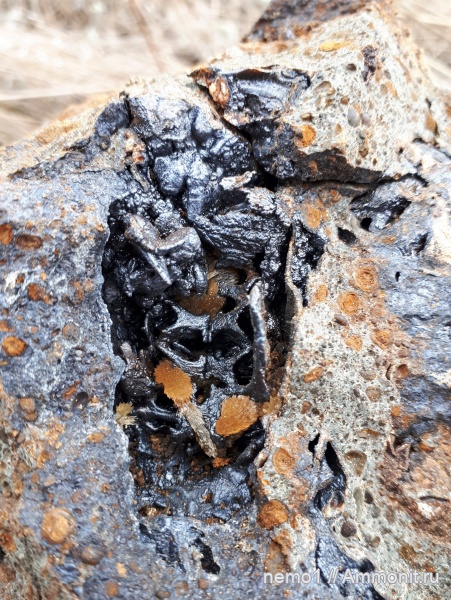 неоген, Керчь