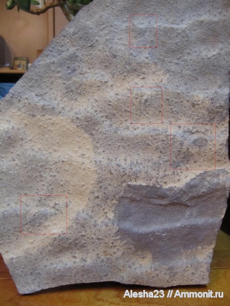 Докембрий, цианобактериальный мат