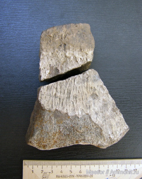 юра, Подмосковье, Jurassic