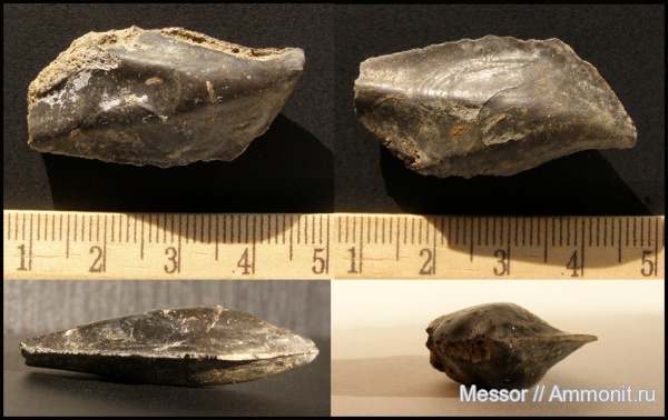 Крым: Новый Свет, Судак