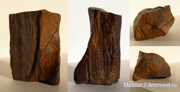 Еганово, морена