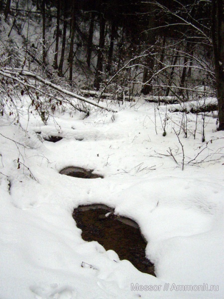 мел, сеноман, Варавино, Cenomanian, Cretaceous