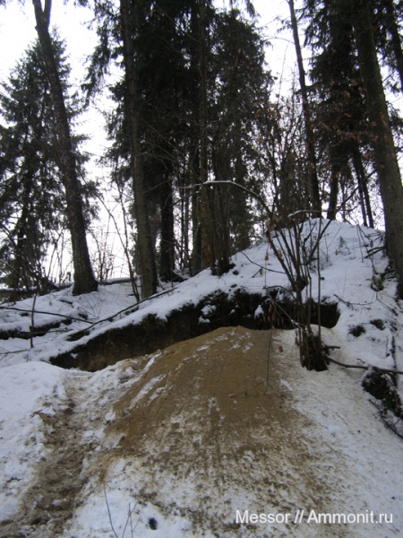 мел, сеноман, Варавино, Cenomanian, Cretaceous