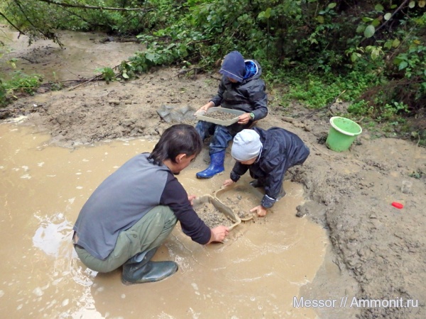 мел, зубы, акулы, сеноман, Варавино, Cenomanian, Cretaceous, teeth, sharks