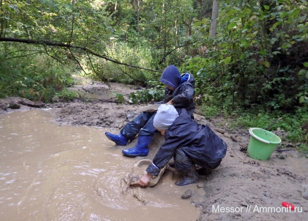 мел, зубы, акулы, сеноман, Варавино, Cenomanian, Cretaceous, teeth, sharks