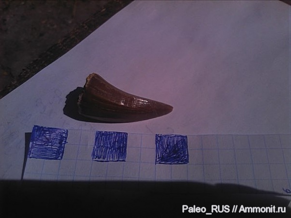 кости ящеров