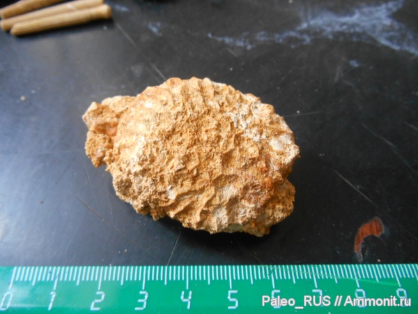 Неопределенное