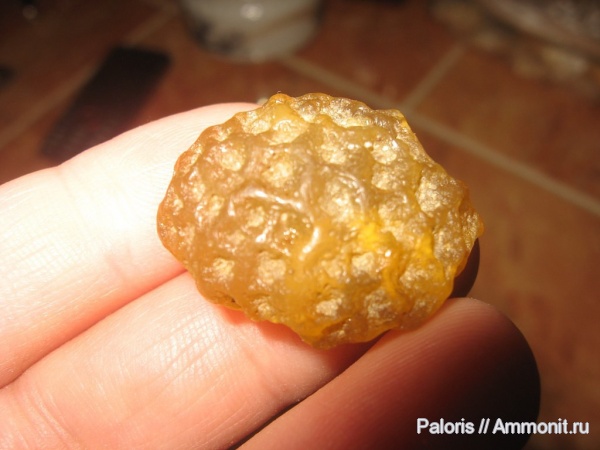 карбон, кораллы, псевдоморфозы