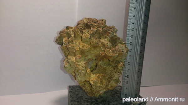 Находки с.Новотроицкое, Донецкая область, Украина