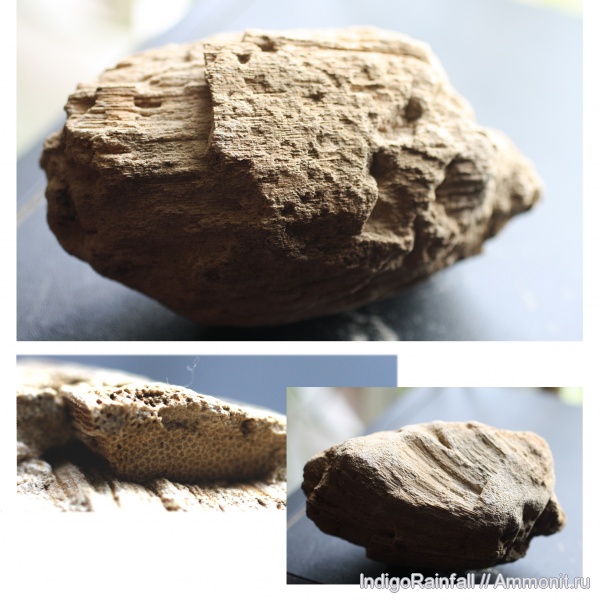 Калужская область.