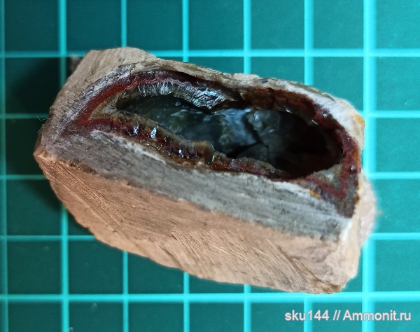 пермь, Productida, Солигалич, Агат