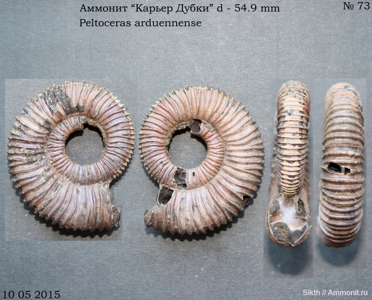 Карьер дубки московская область. Карьер дубки. Карьер дубки фото. Карьер дубки саратовская область. Миллерово дубки.