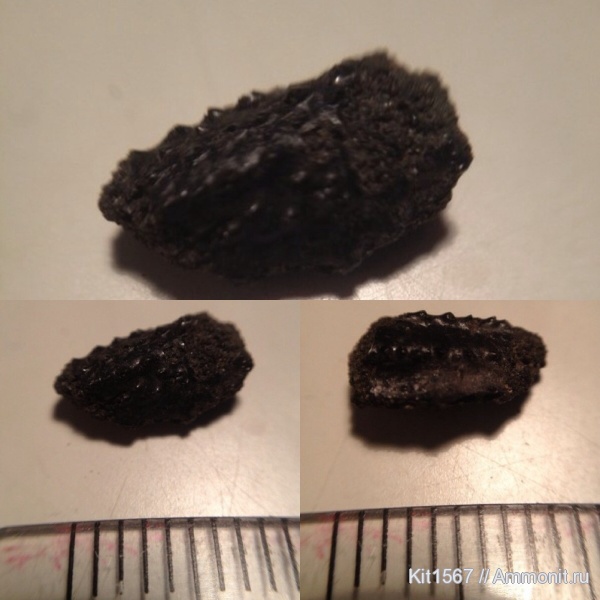 юра, Фили, ракообразные, Eryma, Jurassic