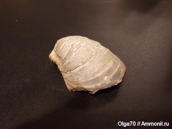 Находки дилетанта