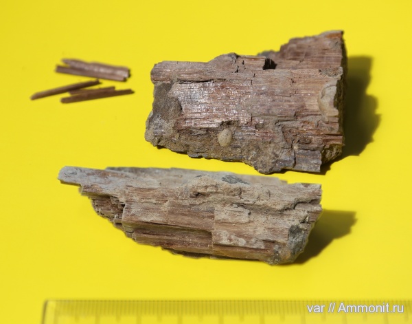 юра, Городищи-Ундоры, Jurassic