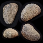 Ундоры 2018. Губка.